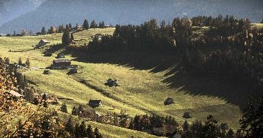 Autumn Sun on woods above Amden, Switzerland, null