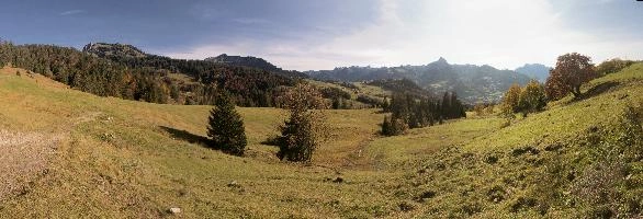 Autumn on meadows above Amden, Switzerland, null