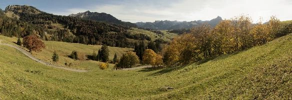 Autumn on meadows above Amden, Switzerland, null
