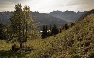 Autumn on meadows above Amden, Switzerland, null