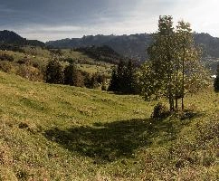 Autumn on meadows above Amden, Switzerland, null