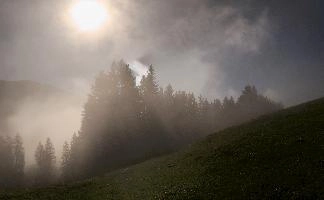 Mist in woods above Amden, Switzerland, amden, fog, cloud, woods, walking, mountain, switzerland, path, europe, hiking, forest, sun, mist, meadow, outdoors, light