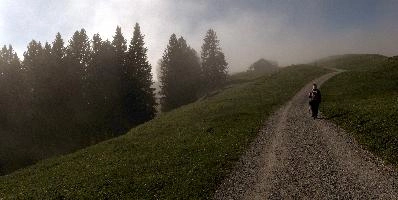 Mist in woods above Amden, Switzerland, amden, fog, cloud, woods, walking, mountain, switzerland, path, europe, hiking, forest, sun, mist, meadow, outdoors, light