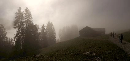 Mist in woods above Amden, Switzerland, amden, fog, cloud, woods, walking, mountain, switzerland, path, europe, hiking, forest, sun, mist, meadow, outdoors, light