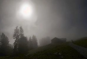 Mist in woods above Amden, Switzerland, amden, fog, cloud, woods, walking, mountain, switzerland, path, europe, hiking, forest, sun, mist, meadow, outdoors, light