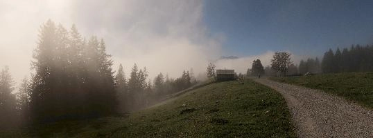 Mist in woods above Amden, Switzerland, amden, fog, cloud, woods, walking, mountain, switzerland, path, europe, hiking, forest, sun, mist, meadow, outdoors, light