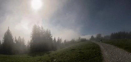 Mist in woods above Amden, Switzerland, amden, fog, cloud, woods, walking, mountain, switzerland, path, europe, hiking, forest, sun, mist, meadow, outdoors, light