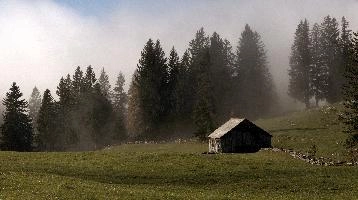Mist in woods above Amden, Switzerland, amden, fog, cloud, woods, walking, mountain, switzerland, path, europe, hiking, forest, sun, barn, hut, mist, meadow, outdoors, light