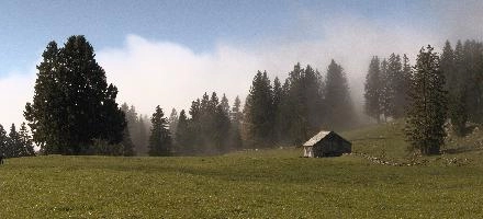 Mist in woods above Amden, Switzerland, mountains, autumn, fog, forest, amden, alps, trees, switzerland, hiking, pines, mist, cloud, walking, atmospheric