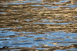 Waters of Lake Annecy, Savioe, Annecy