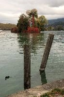 Piles on Lake Annecy, France, Annecy