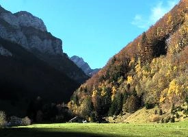 Autumn in Appenzell, autumn, landscape, scenery, europe, valley, swiss, walking, alps, mountains, appenzell, trees, woods, meadow, switzerland, hillside, fall, colours, hiking, terrain, alpine, outdoors, sunshine, blue sky, forest