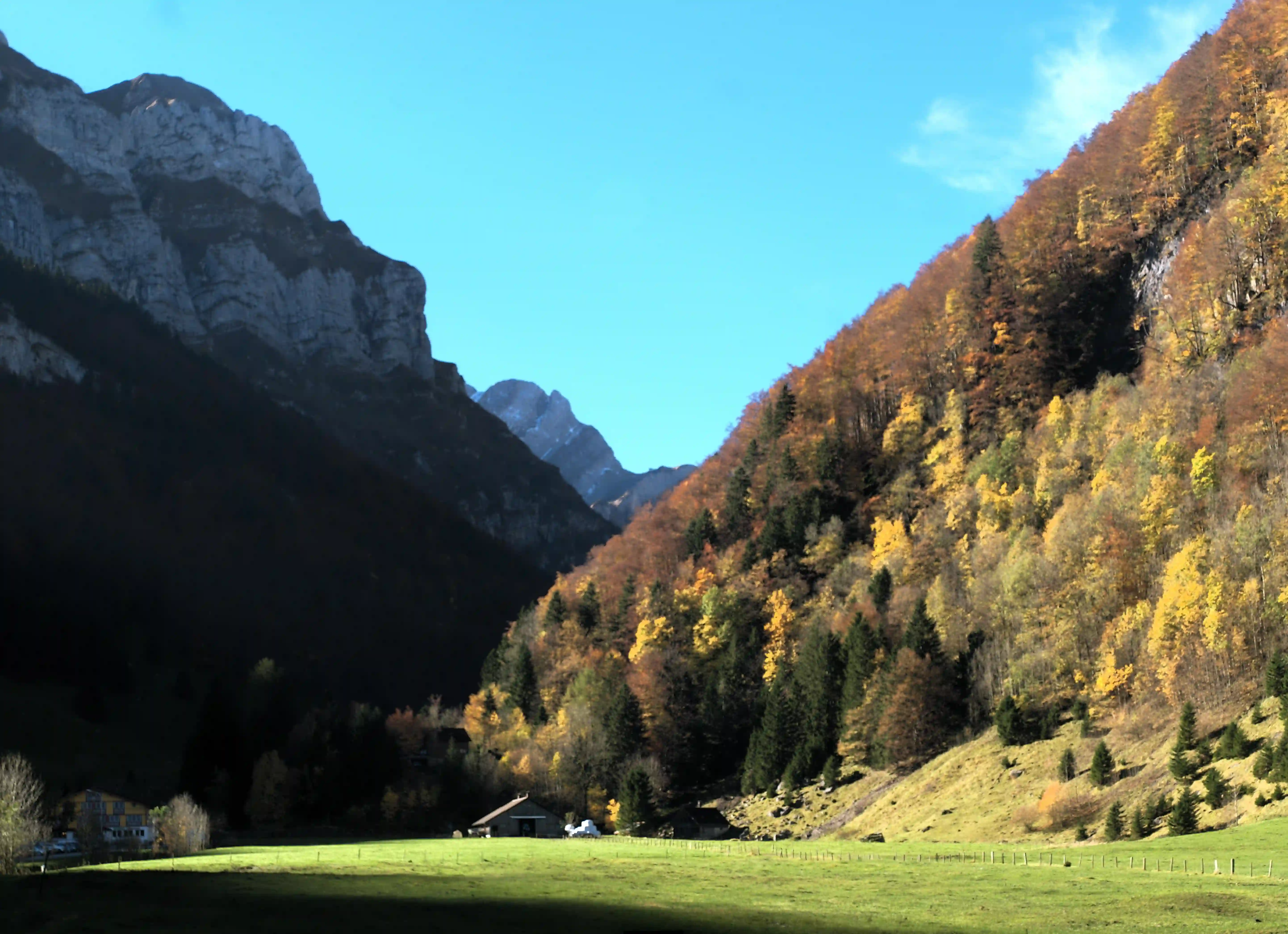Autumn in Appenzell, autumn, landscape, scenery, europe, valley, swiss, walking, alps, mountains, appenzell, trees, woods, meadow, switzerland, hillside, fall, colours, hiking, terrain, alpine, outdoors, sunshine, blue sky, forest
