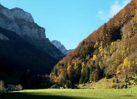 Autumn in Appenzell, autumn, landscape, scenery, europe, valley, swiss, walking, alps, mountains, appenzell, trees, woods, meadow, switzerland, hillside, fall, colours, hiking, terrain, alpine, outdoors, sunshine, blue sky, forest