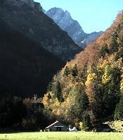Autumn, autumn, landscape, scenery, europe, valley, swiss, walking, alps, mountains, appenzell, trees, woods, meadow, switzerland, hillside, fall, colours, hiking, terrain, alpine, outdoors, sunshine, blue sky, forest