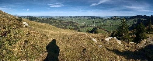 Appenzellerland, autumn, view, bodensee, alps, meadow, trees, appenzell, panorama, schweiz, viewpoint, woods, scenery, outdoors, blue sky, countryside, mountains, fields, agricultural, hiking, walking