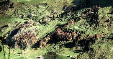 Appenzell Hillside, alps, switzerland, hillside, appenzell, schweiz, autumn