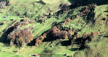 Appenzell Hillside, alps, switzerland, hillside, appenzell, schweiz, autumn