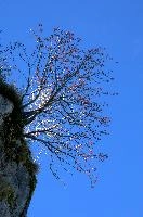 dsc_194903.jpg