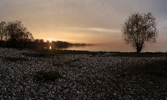 Sunset on the Bodensee, null