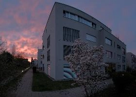 Arbon Sunset, null