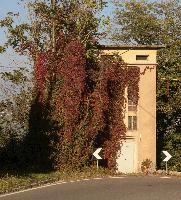 Creeper-clad switching station in Arona, Italy, showing Autumn colours, foliage, colours, autumn, red, vine, wild, arona, piemonte, building, italy, creeper, europe, leaves