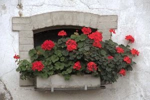 dse_004528.jpg
