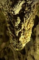 Calcite formations in Höllgrotten Cave, Baar in Switzerland, european, höllgrotten, drop, baar, calcite, tiers, material, flow, stone, yellow, formation, cream, rock, nature, cave, geology, speleology, color, underground, subterranean, switzerland, alps, stalactite