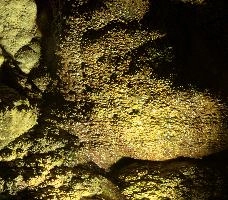 Calcite formations in Höllgrotten Cave, Baar in Switzerland, european, höllgrotten, drop, baar, calcite, tiers, material, flow, stone, yellow, formation, cream, rock, nature, cave, geology, speleology, color, underground, subterranean, switzerland, alps, stalactite