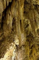 Calcite formations in Höllgrotten Cave, Baar in Switzerland, european, höllgrotten, drop, baar, calcite, tiers, material, flow, stone, yellow, formation, cream, rock, nature, cave, geology, speleology, color, underground, subterranean, switzerland, alps, stalactite