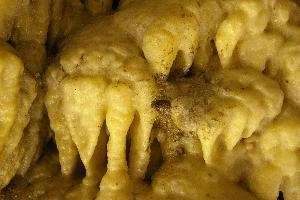 Calcite formations in Höllgrotten Cave, Baar, european, höllgrotten, drop, baar, calcite, tiers, material, flow, stone, yellow, formation, cream, rock, nature, cave, geology, speleology, color, underground, subterranean, switzerland, alps, stalactite