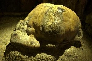 Domed turtle calcite formation in the Höllgrotten caves of Baar, Switzerland, limestone, geology, rock, formation, calcite, dome, höllgrotten, tortoise, cave, turtle, zürich, speleology, baar, subterranean, switzerland, underground, europe, stone