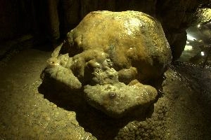 Domed turtle calcite formation in the Höllgrotten caves of Baar, Switzerland, limestone, geology, rock, formation, calcite, dome, höllgrotten, tortoise, cave, turtle, zürich, speleology, baar, subterranean, switzerland, underground, europe, stone