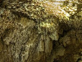 Calcite formations in Höllgrotten Cave, Baar in Switzerland, european, höllgrotten, drop, baar, calcite, tiers, material, flow, stone, yellow, formation, cream, rock, nature, cave, geology, speleology, color, underground, subterranean, switzerland, alps, stalactite