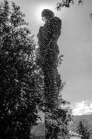 mantiuk_7552bw.jpg