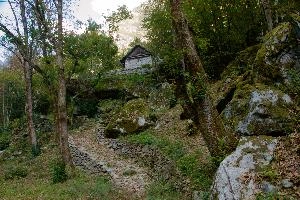 Woodland path in the Bavona valley, Swiss Canton of Ticino, null