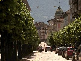 Street with avenue of trees in Bellinzona, Grisons, grisons, switzerland, europe, italian, street, summer, dome, town, church, avenue, foliage, paved, trees, sunlight, bellinzona
