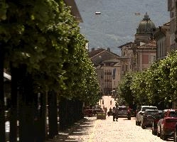 Street with avenue of trees in Bellinzona, Grisons, grisons, switzerland, europe, italian, street, summer, dome, town, church, avenue, foliage, paved, trees, sunlight, bellinzona