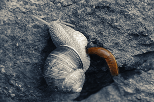 dsc_0563sel1.jpg