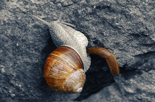 dsc_0563sel2.jpg