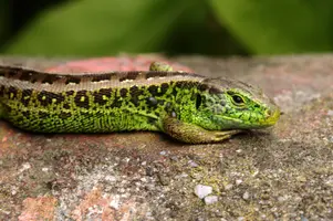dsc_126714.jpg