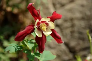 dsc_126944.jpg