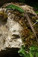 dsc_127424.jpg
