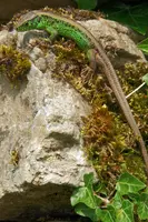 dsc_127426.jpg