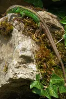 dsc_127427.jpg