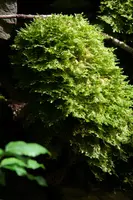 dsc_127430.jpg