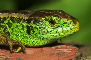 dsc_127628.jpg