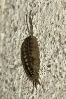 dsc_127642.jpg