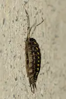 dsc_127647.jpg