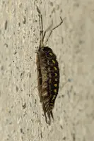 dsc_127648.jpg